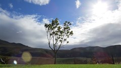 There's more to 'sea' than whales in Hermanus