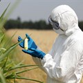 15 EU nations opt to stay GMO-free
