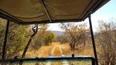 [Earth Focus] Walk on the wild side: thoughts around a campfire