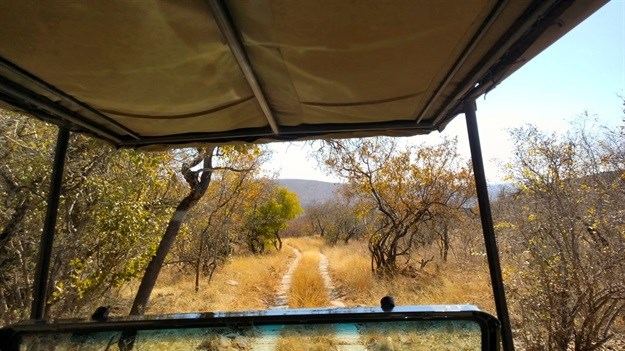 [Earth Focus] Walk on the wild side: thoughts around a campfire