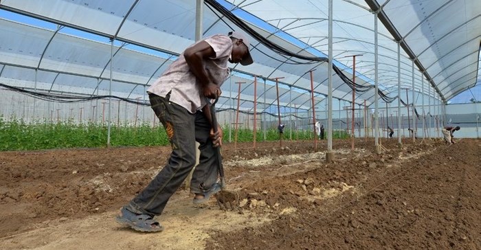 Young agribusiness innovators to participate in the Africa Green Revolution Forum