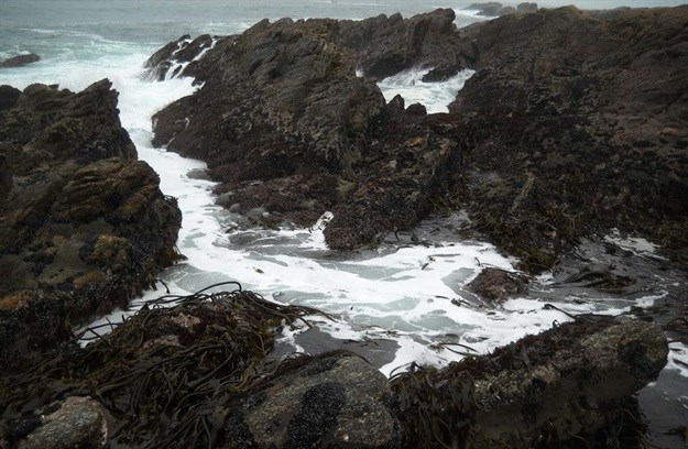 Location of brine discharge - Volwaterbaai Desalination Plant