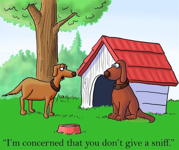 Performance appraisals hold no value - research