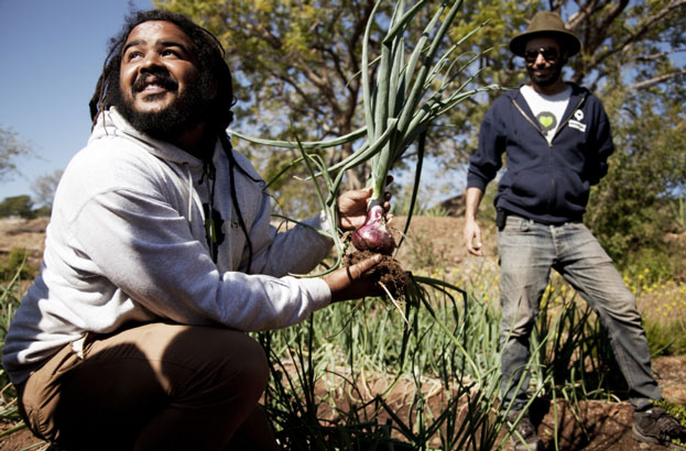 Call to enter Zambia Festival of Action