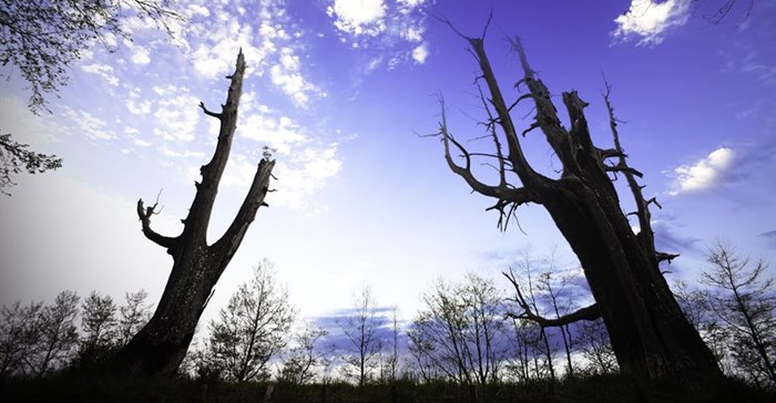 UK to fund research on climate change in Africa