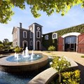 House of Van Ryn's garners more accolades