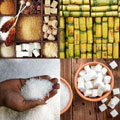 A sticky situation: SA's sugar industry woes