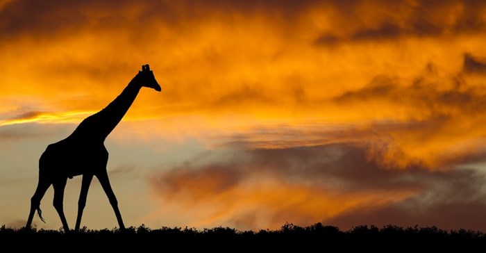 Climate Reality Project to focus on SA