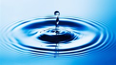 Marketers should treat disruption as an opportunity rather than a threat