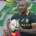 Springbok home fixtures for 2016 confirmed