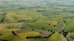 Drought behind Tongaat Hulett profit fall