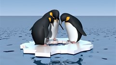 Steps to create and maintain a great company culture