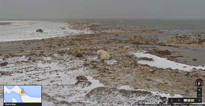 Google opens online window on toll of climate change