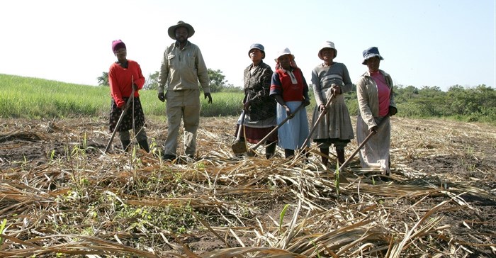 Ithala to assist KZN farmers affected by drought
