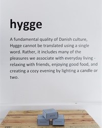 Instagram used to introduce Danish concept to local influencers