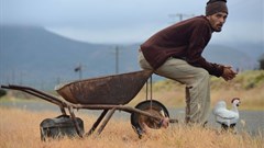 The top-five South African films of 2015