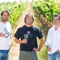 New chairman for Cape Winemakers Guild