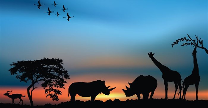 Data safari: Mapping emerging Africa's analytics