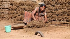 Online buyers mad about cowdung cakes