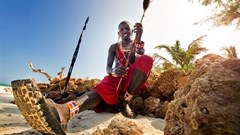 Campaign to boost Kenya's tourism on internet launched