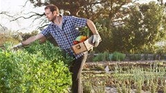 [BizTrends 2016] Trends to shape South African Agribusinesses in 2016