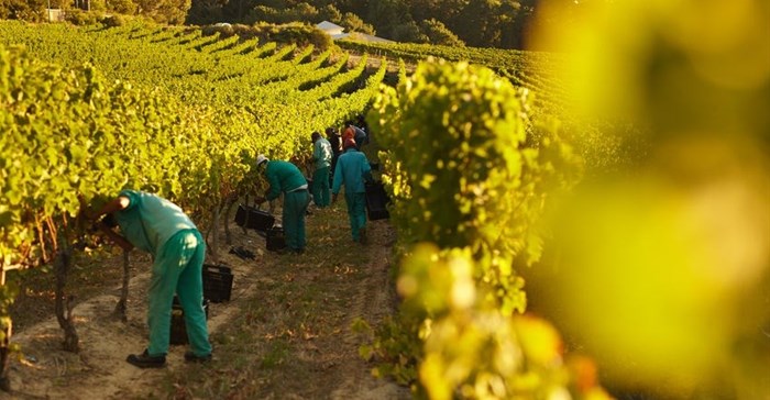 Wine and citrus could be victims in game of chicken