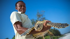 #KenyaLive - broadcasting for wildlife lovers