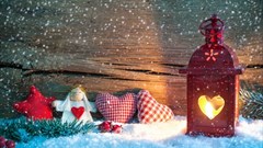 [Orchids & Onions] You are at Liberty to rewind, reflect, refocus