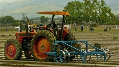 [BizTrends 2016] The national minimum wage and South African agriculture