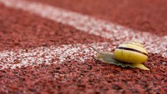 [BizTrends 2016] Slow but steady towards a sustainable future