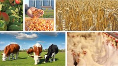 [BizTrends 2016] Top five trends for Agriculture 2016