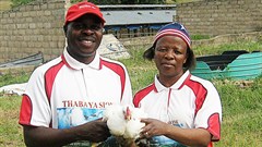 Elliot and Zodwa Nyathi - Elzo Poultry