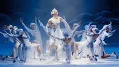 The Imperial Ice Stars are back to brag