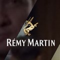 New Rémy Martin website