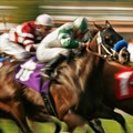 CNN to cover top SA horse races