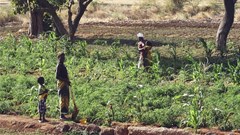 Shine a light on the gaps