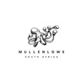 Lowe and Partners SA renamed as MullenLowe South Africa