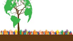 CSI that makes a real difference