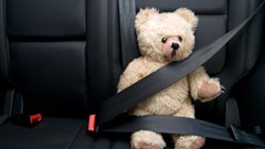 [Orchids & Onions] Lewis has it down pat, but minister should buckle up