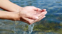 [Earth Focus] Water, the stream of life