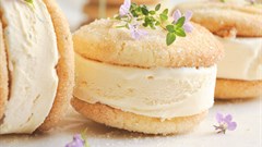 Ice cream sandwiches for my Valentine