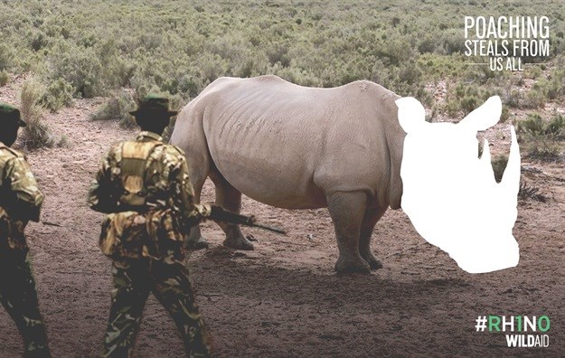 #DesignMonth: Student concept used in WildAid video