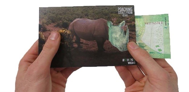 #DesignMonth: Student concept used in WildAid video