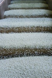 Mpact's rPet Polymers plant gets the EU safety nod