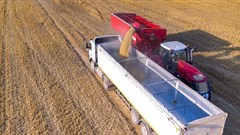 Region faces transport bottlenecks in grain movement