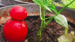 #DesignMonth: Re:Fresh with bicycle powered juices