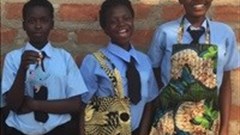 Zambian school wins global entrepreneurship competition