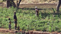 How to adapt to beat crippling droughts