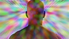 Tackling the digital transition in 2016