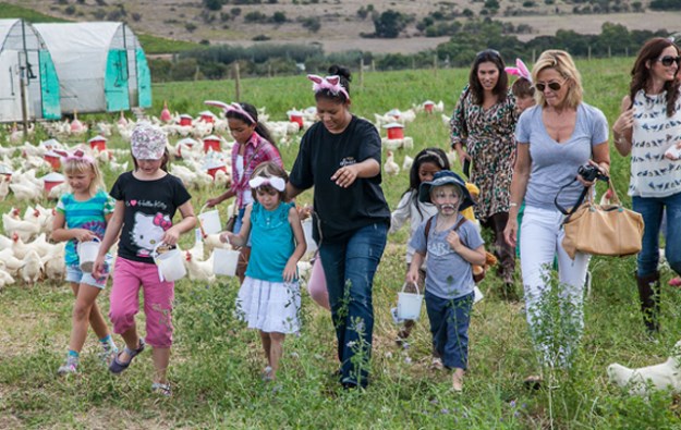 What's on at Easter in Cape Town?